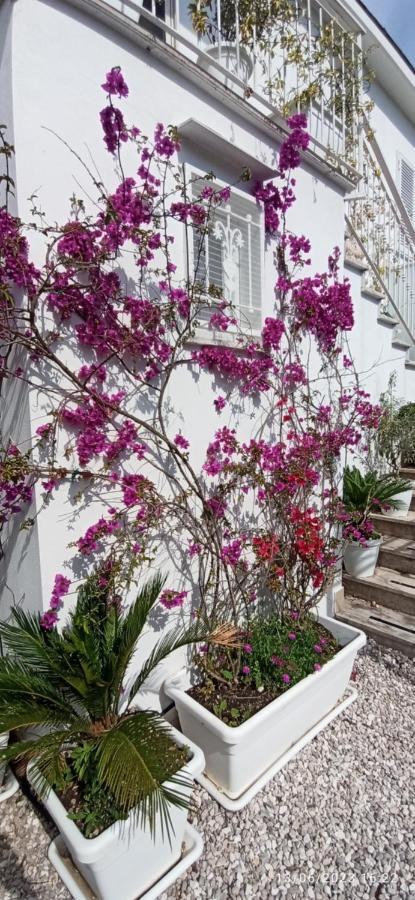 La Villa Degli Dei - Guest House Castellammare di Stabia Exterior photo